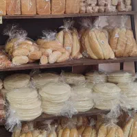 استخدام نیروی پاره وقت در کارگاه نان فانتزی