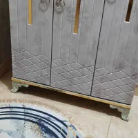 جا کفشی جنس لترون ضد خط و خش