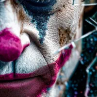 قاب عکس|تابلو، نقاشی، عکس|لنگرود, |دیوار