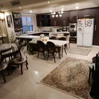 میرداماد-نفت-290متر-آپارتمان-ویلاخاص