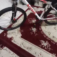 دوچرخه کوهستان ویوا سایز ۲۹