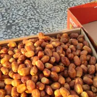 خرمای زاهدی(قصب)