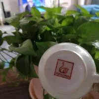 چینی مارک طوس|سرویس روتختی|چهاردانگه (تهران), |دیوار