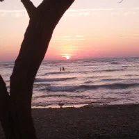 جویا کارگر جوان