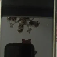 گوشی سامسونگ مدل A 34  تمیز|موبایل|رودهن, |دیوار