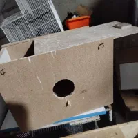 لونه طوطی