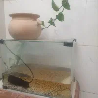 اکواریوم ماهی شیشه گرد با پمپ