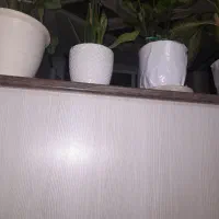 نظافتچی خانوم