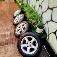 رینگ پنچ پر