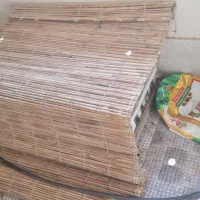 قفس خرگوش مرغ بلدرچین