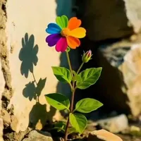 ITمتخصص