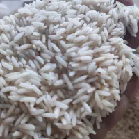 برنج صدری دم سیاه اعلا از کشاورز ۳۰۰ کیلو موجود