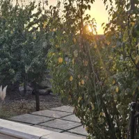 باغ2/500متری / سند دار/جاده بوژان