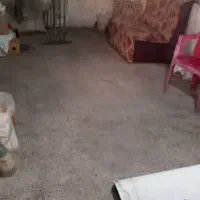 فروش حرفه در آستانه‌ی اشرفیه