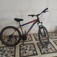 دوچرخه اسکوتر اسکیت