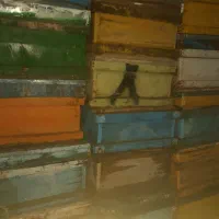 کندو زنبور عسل ۵۰۰ عددو۳۰۰ طبق