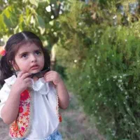 فروش زمین باغ شهری دهبید مرودشت