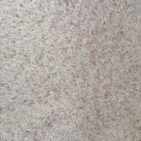 برنج فجر آق قلا