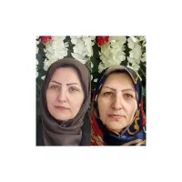 جشنواره بلفارو..اتوپلاسی