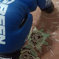 دست کش بوکس|تجهیزات ورزشی|پیرانشهر, |دیوار