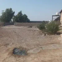 دامداری ۱۰ هزار متر/وام ۷ میلیاردی/چاه عمیق|فروش دفتر صنعتی، کشاورزی، تجاری|رامهرمز, |دیوار