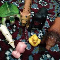 فیگور مدل حیوانات