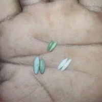 مهره برای فروش|جواهرات|رودان, |دیوار