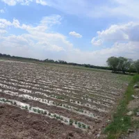 ۲ هکتار زمین کشاورزی بر کمربندی دوم تهران خاوران