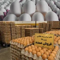 همکار برا فروش