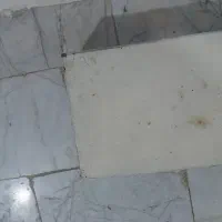 چهارپایه