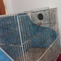 لونه با قفس|لوازم جانبی حیوانات|بندرعباس, |دیوار