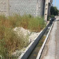 زمین|فروش زمین و ملک کلنگی|چغادک, |دیوار