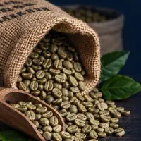دان سبز قهوه با کیفیت بالا و قیمت رقابتی