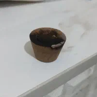 هم خونه میخام