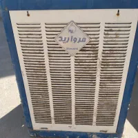 کولرابی ۷۰۰۰هزار مروارید