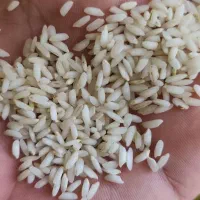 برنج عنبر بو