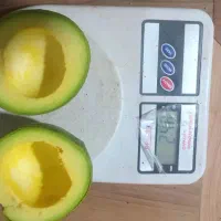 میوه آووکادو|خوردنی و آشامیدنی|تنکابن, |دیوار