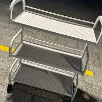 ترولی سالنی