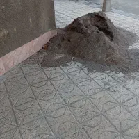 ماسه و شن