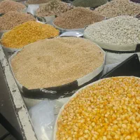 فروش ادویه جات در جه ی. حبوبات عمده تکی