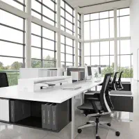 استخدام کار با درآمد عالی