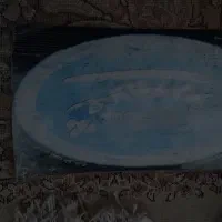 فرش ۹ متری|فرش|رشت, انصاری|دیوار