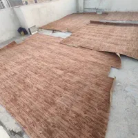 موکت