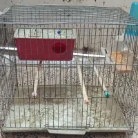 قفس پرنده و ملزومات|لوازم جانبی حیوانات|کرمانشاه, |دیوار