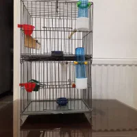 قفس سره قناری سالم با لوازم کامل