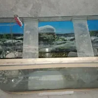 شیشه آکواریوم با لوازم سنگ پمپ|ماهی|مشهد, ابوذر|دیوار