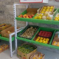 استند میوه و یخچال ویترینی|فروشگاه و مغازه|ماسال, |دیوار