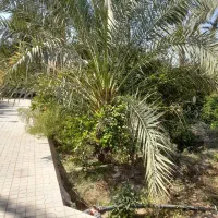 فروش منزل ویلایی و باغ