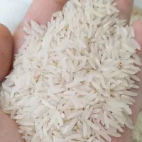 برنج فجر سوزنی درجه یک