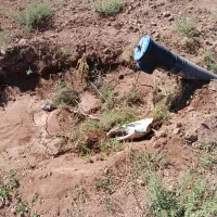 فروش باغ پسته۱۲ ساله بارده سنددار۱۰۰۰متر|فروش دفتر صنعتی، کشاورزی، تجاری|بوئین زهرا, |دیوار